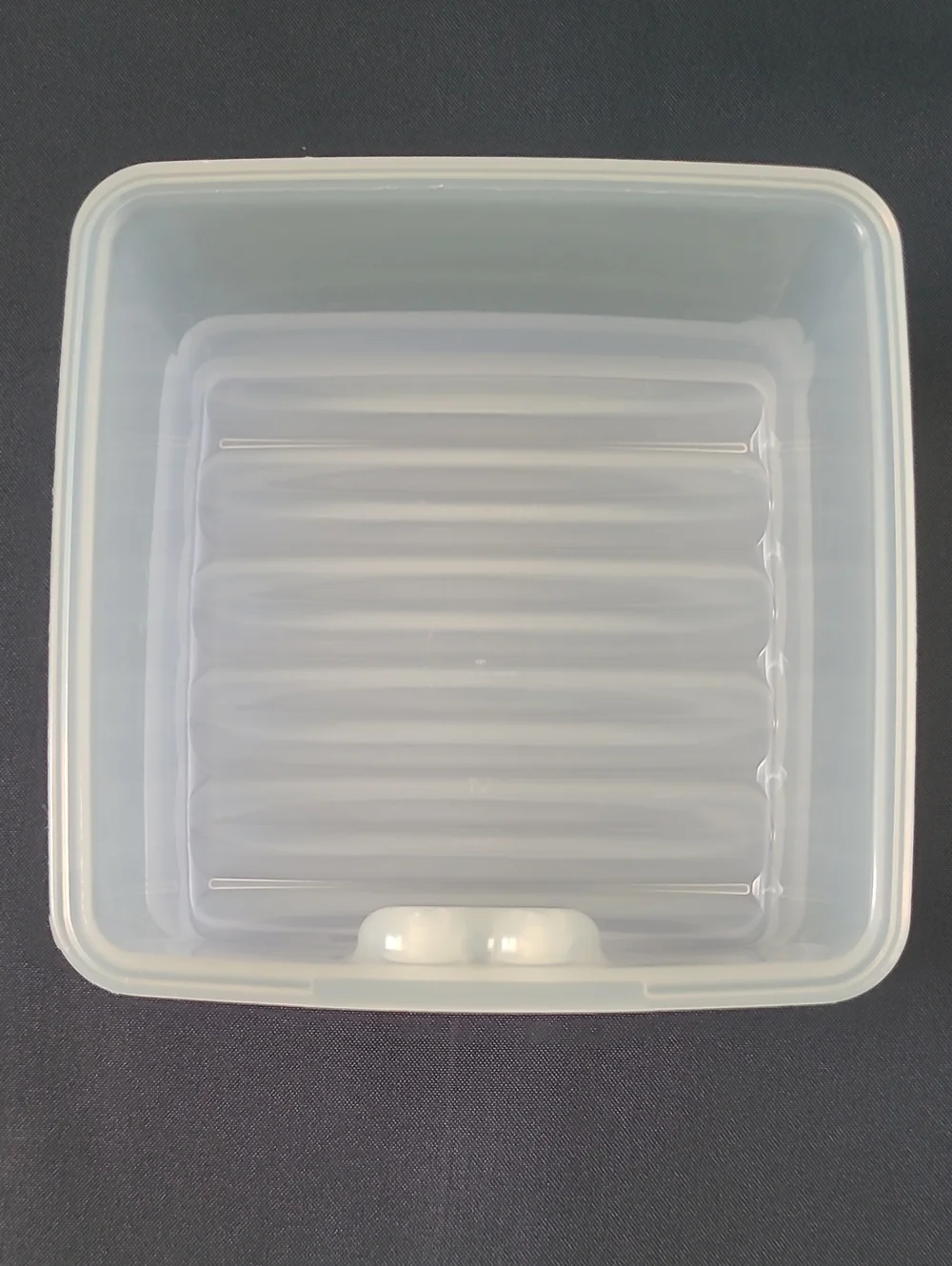 Tupperware Fridge Smart Retired Small Square - Berries Small Fruit 1 ltr